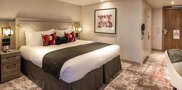 SAGA Cruises, Spirit of Adventure, Adapted Deluxe with Balcony 2.jpg